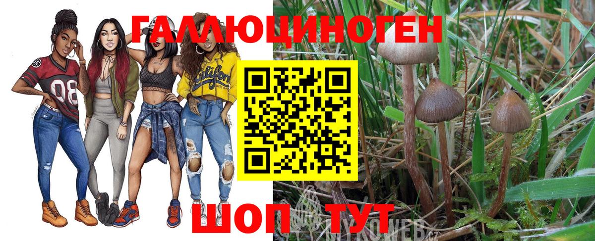 где купить наркотик  Галлюциногенные грибы мухоморы  Саяногорск  Вход с VPN  Галлюциногенные грибы мухоморы 